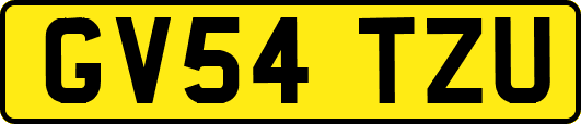 GV54TZU