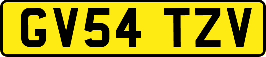 GV54TZV