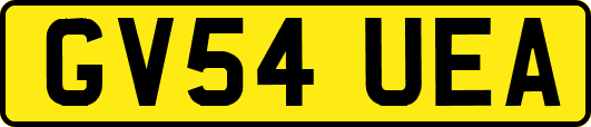 GV54UEA