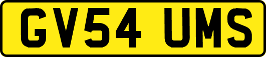 GV54UMS