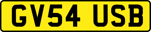 GV54USB
