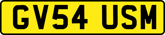 GV54USM