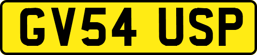 GV54USP