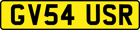 GV54USR