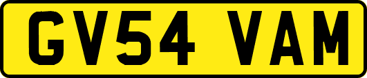 GV54VAM