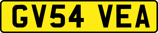 GV54VEA