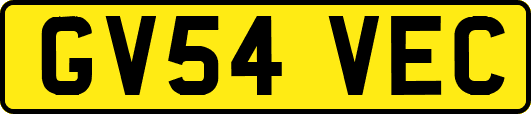 GV54VEC