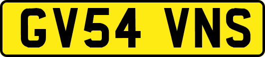GV54VNS
