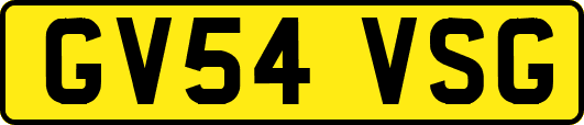 GV54VSG