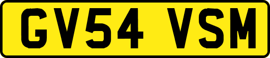 GV54VSM