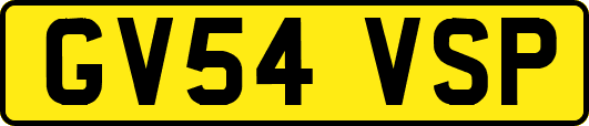 GV54VSP