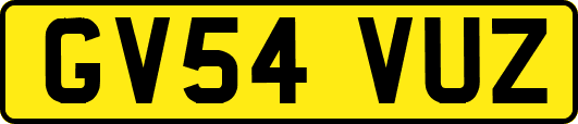GV54VUZ