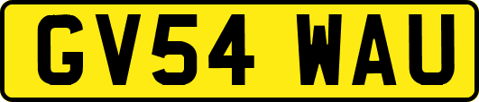 GV54WAU