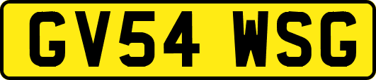 GV54WSG