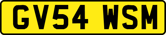 GV54WSM