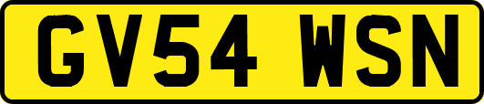 GV54WSN