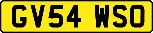 GV54WSO