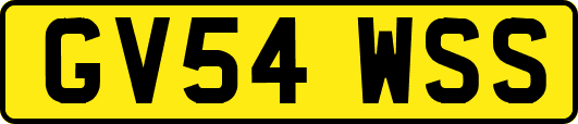 GV54WSS