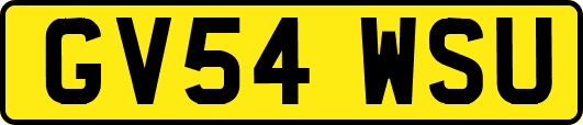GV54WSU