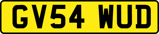 GV54WUD