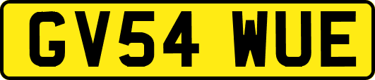 GV54WUE