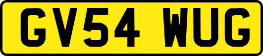 GV54WUG