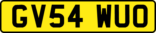 GV54WUO
