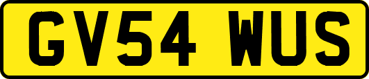 GV54WUS