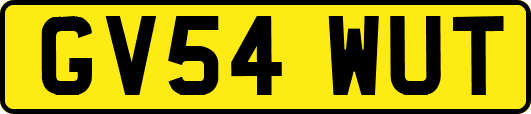 GV54WUT