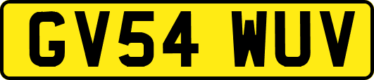 GV54WUV