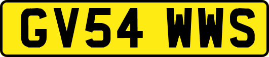 GV54WWS