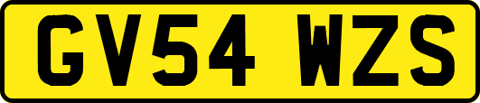 GV54WZS