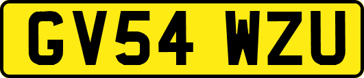 GV54WZU