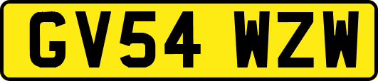 GV54WZW