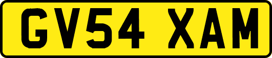 GV54XAM