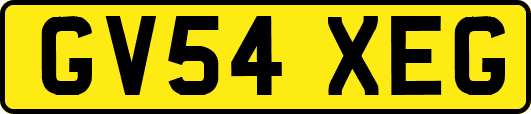 GV54XEG
