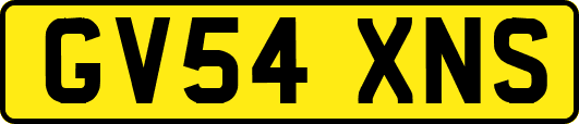 GV54XNS