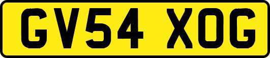 GV54XOG