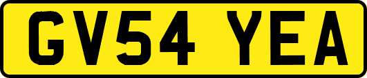 GV54YEA