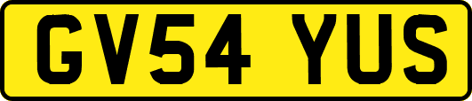 GV54YUS
