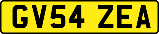 GV54ZEA