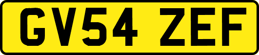 GV54ZEF