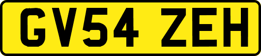 GV54ZEH