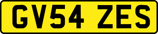 GV54ZES