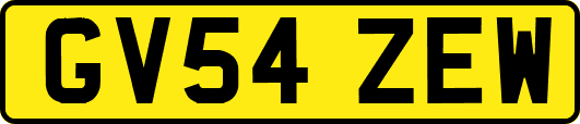 GV54ZEW