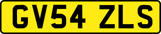 GV54ZLS