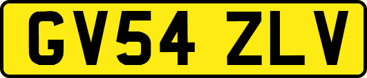 GV54ZLV