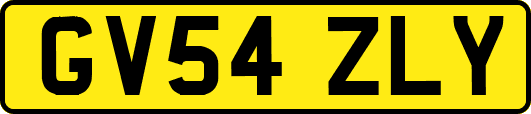 GV54ZLY
