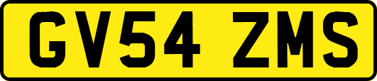 GV54ZMS