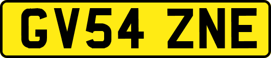 GV54ZNE